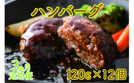 北海道産 上ノ国町 フルーツポークのハンバーグ（120g×12個）【6月･7月･8月定期便】