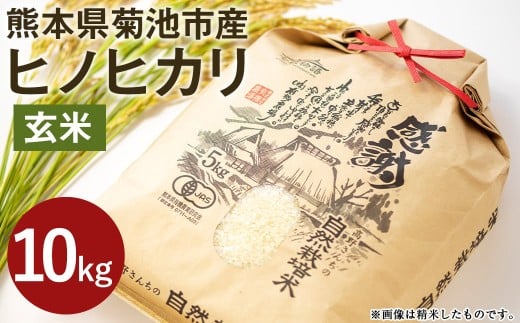 【通常パック】令和7年産 熊本県菊池産 ヒノヒカリ 玄米 10kg 七城物語 高野さんちの自然栽培米 玄米 お米 こめ コメ 米