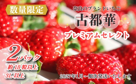 いちご ことか プレミアムセレクト 18玉以上 2パック 3Lサイズ 2027年発送 大粒 古都華 化粧箱 数量限定 苺 イチゴ 季節限定 旬 フルーツ 果物 スイーツ  デザート ストロベリー 甘い 数量限定 産地直送 冷蔵 ブランド苺 奈良いちご 果肉 プレゼント ギフト 贈答 贈答品 家庭用 お祝い フレッシュ 新鮮 旬 itigo strawberry 奈良県 奈良市 なら めいとく農園