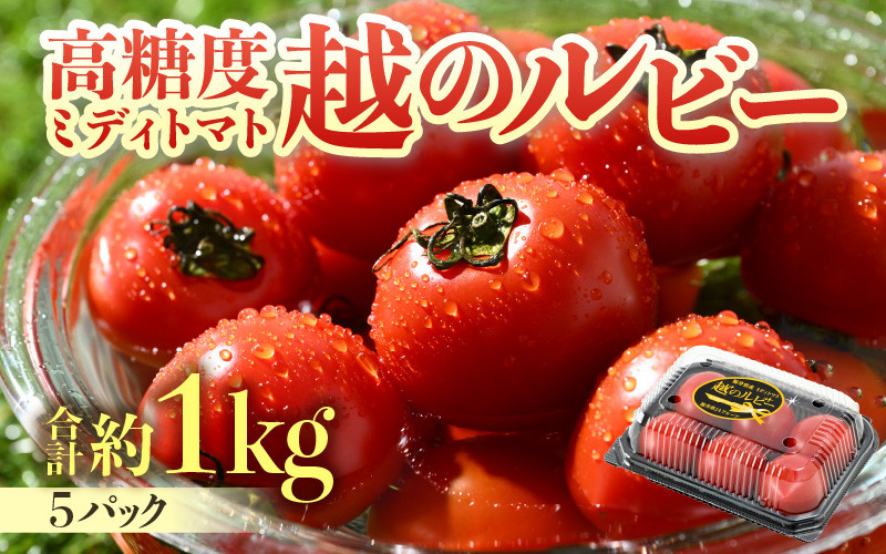 
            【先行予約】高糖度 ミディトマト 越のルビー パック入り 約1kg 5パック（25～45個入） / 福井県産 ブランド トマト 福井県産ブランドトマト  農家直送 有機肥料 低農薬 完熟 甘い ※2025年9月中旬より順次発送
          