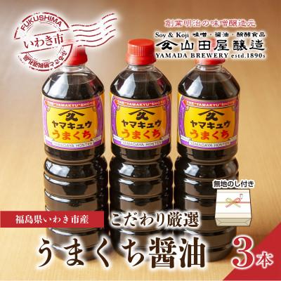 ふるさと納税 いわき市 無地熨斗ギフト【味噌・醤油・発酵食品】いわき市山田屋醸造のこだわり厳選醤油3本セット(うまくち)
