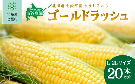 【先行予約 令和8年8月発送】北海道七飯町産 とうもろこし「ゴールドラッシュ」(L-2Lサイズ) 20本セット 【 ふるさと納税 人気 ランキング とうもろこし ゴールドラッシュ コーン 20本 セット 北海道 七飯町 送料無料 】 NABT005