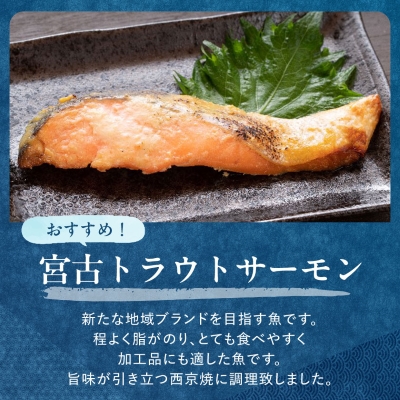 三陸宮古トラウトサーモン・ナメタ煮物他【加熱調理済み惣菜6種セット】【配送不可地域：離島】【1260559】