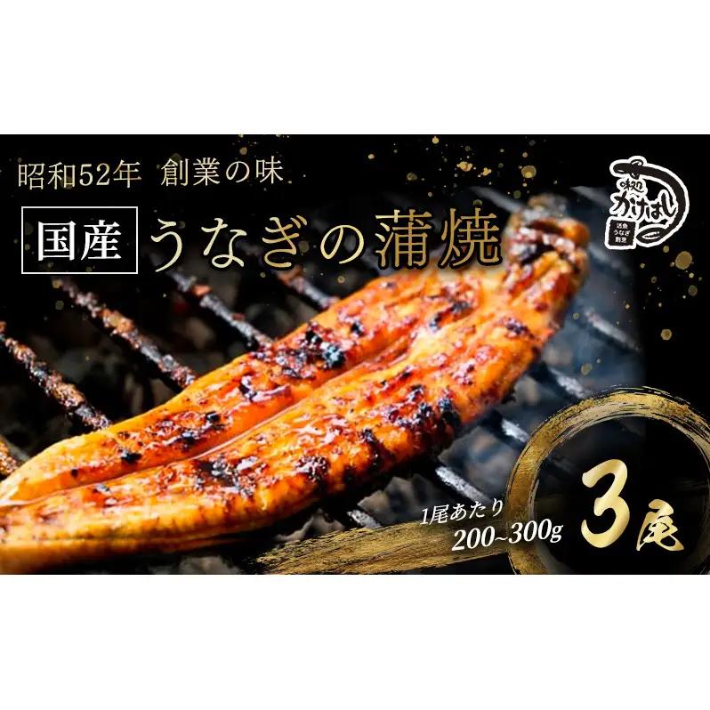 うなぎ 国産 手焼き蒲焼き タレ付き うなぎ【3尾 各200〜300g】【冷凍】