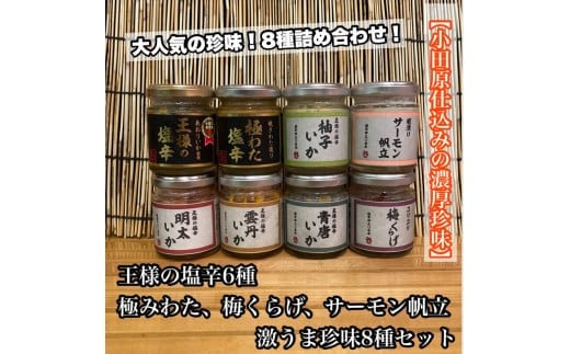 
            海鮮珍味 8種 各1本【王様の塩辛：焼きわた 明太子 ゆず 雲丹 青唐】【極みわたの塩辛】【梅くらげ】【サーモン帆立】【イカ 塩辛 珍味 おつまみ 惣菜 海鮮 いかの塩辛 珍味 お取り寄せ ギフト 御中元 お中元 お歳暮 父の日 母の日 贈り物 日本酒 焼酎】【神奈川県小田原市早川】
          