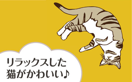 【猫グッズ】ネコのかわいい手ぬぐい ６点セット[AOBX004] 猫 イラスト 手ぬぐい 猫 イラスト 手ぬぐい 猫 イラスト 手ぬぐい 猫 イラスト 手ぬぐい