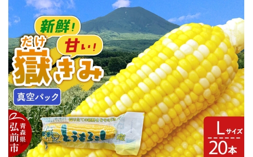 【26年10月中旬～発送】とうもろこし 嶽きみ真空パック Lサイズ 20本 しらかみラボ [先行予約 産地直送 嶽きみ コーン ブランド 真空パック おいしい 青森 野菜 だけきみ]
