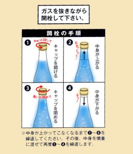 炭酸純米白川郷　泡にごり酒　500ml×2本セット