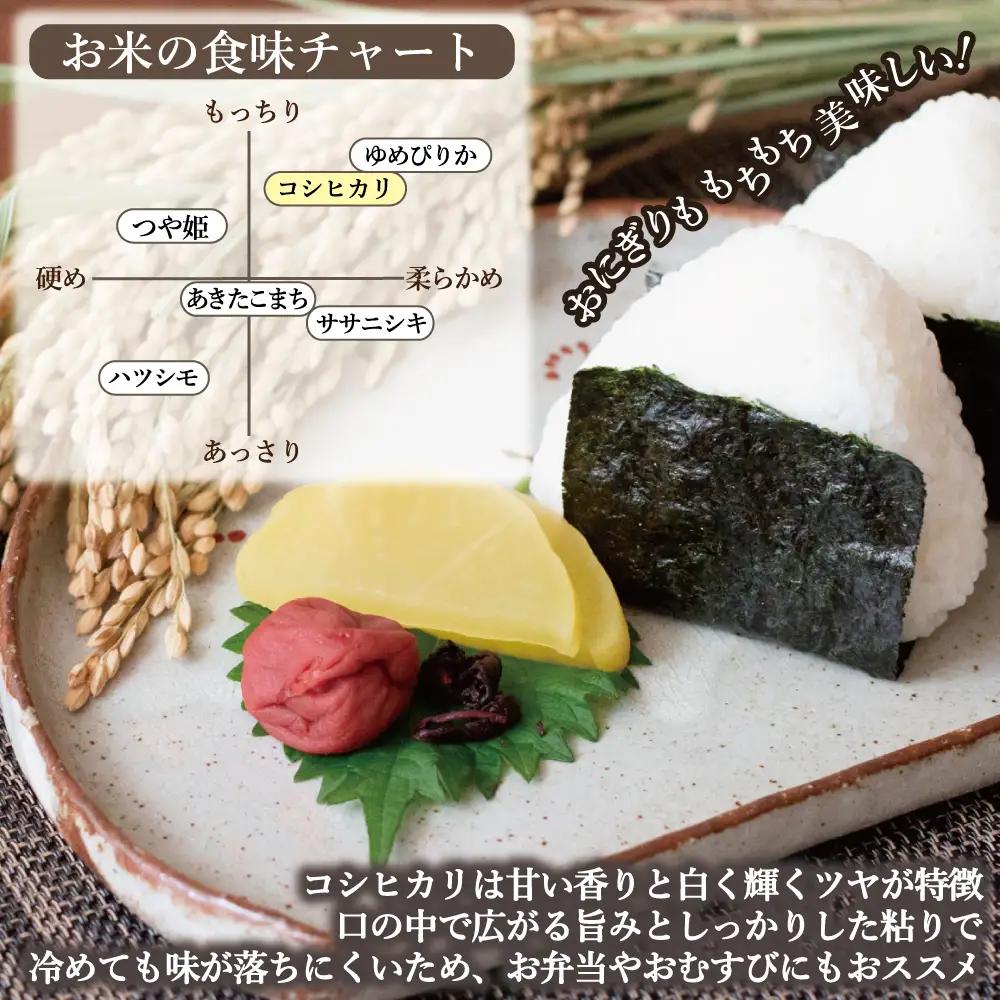 こしひかり  5kg 令和7年度産 精米 福島県新地町産