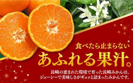 【ご家庭用】みかん 約 10kg（100-120個）ー2024年11月下旬より発送ー長与町/長崎西彼農業協同組合 長与支店 [EAH003] みかん ミカン 温州みかん みかん ミカン 温州みかん み