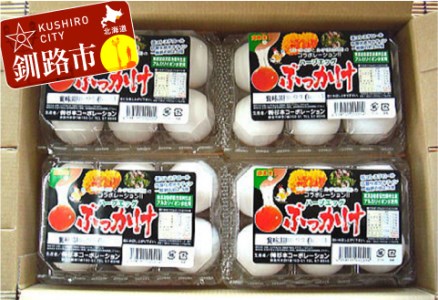 【期間限定！寄附額改定↓！】無添加ハーブエッグぶっかけ究極のTkg産みたて新鮮タマゴ ふるさと納税 卵 F4F-0797
