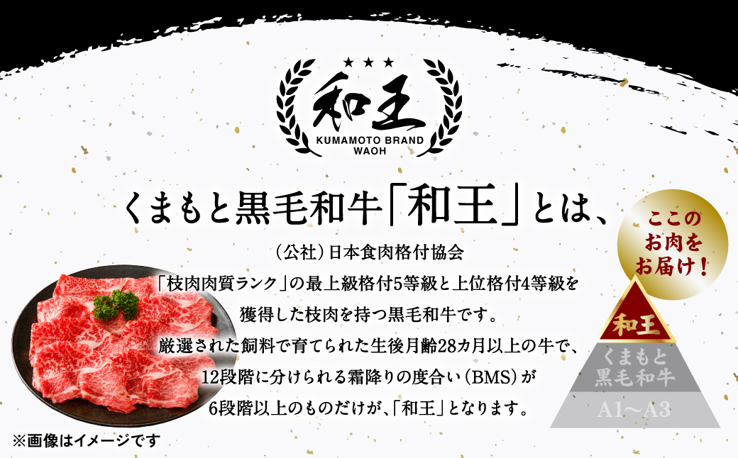 くまもと黒毛和牛 和王サイコロステーキ 500g×1パック_イメージ4