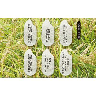ふるさと納税 米子市 令和7年産　星空舞　5kg(5kg×1袋) |  | 03