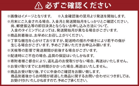 【12カ月定期便】熊本フルーツ定期便12カ月｜果物 くだもの 苺 いちご みかん 柑橘 メロン すいか 桃 ぶどう 梨 柿 みかんジュース