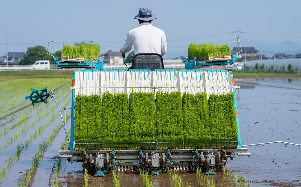 特別栽培ヒノヒカリ：5kg×1袋