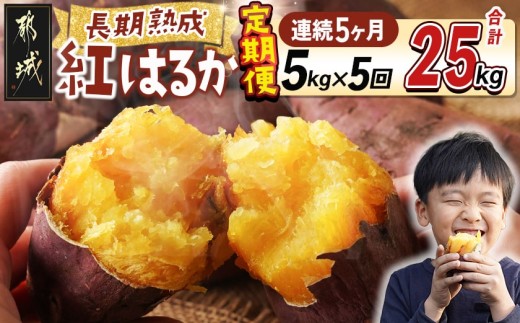 
                  【5回お届け!】都城産 長期熟成紅はるか 5kg 定期便〔TAA5-I201〕_(都城市)
                
