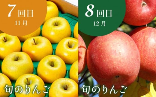 ［年10回定期便］ 信州の人気フルーツ定期便 年10回コース ［小布施屋］ 定期便 頒布会 フルーツ 果物 信州 令和7年産 【2025年6月中旬～2026年2月発送】