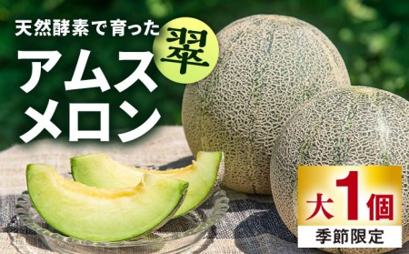 【先行予約】【贈答用】 天然酵素で育ったアムスメロン「翠」大 1個 【2026年6月中旬以降順次発送】[JAZ007] メロン 贈答 フルーツ