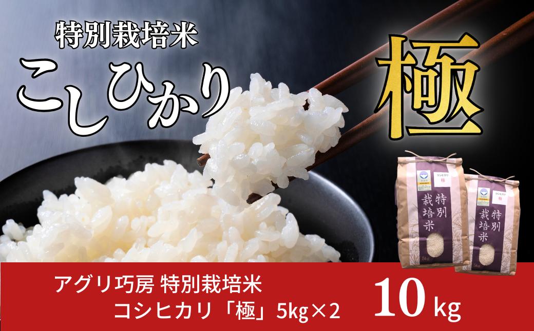
                  特別栽培米 コシヒカリ 「極」 10kg (5kg×2袋) 令和7年産 一等米 こしひかり 新潟県認証 精米 白米【024S027】
                