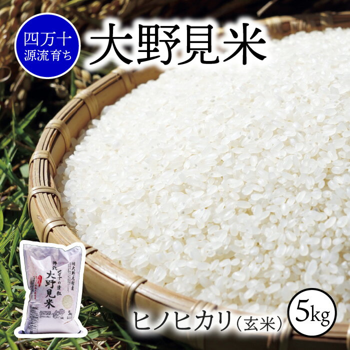 【ふるさと納税】 米 5kg ヒノヒカリ 玄米 新米 お米 特別栽培 大野見米 ご飯 ひのひかり 5キロ 四万十 高知
