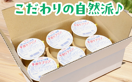 手造りプリン6個セット／冷蔵 ネッカ牛乳 ネッカ卵 蒸しプリン ソース別 牧場 スイーツ おいしい ご褒美 おやつ 牧場 搾りたて グルメ お土産 自宅用 ギフト 贈り物 島根県 安来市【06-WB-