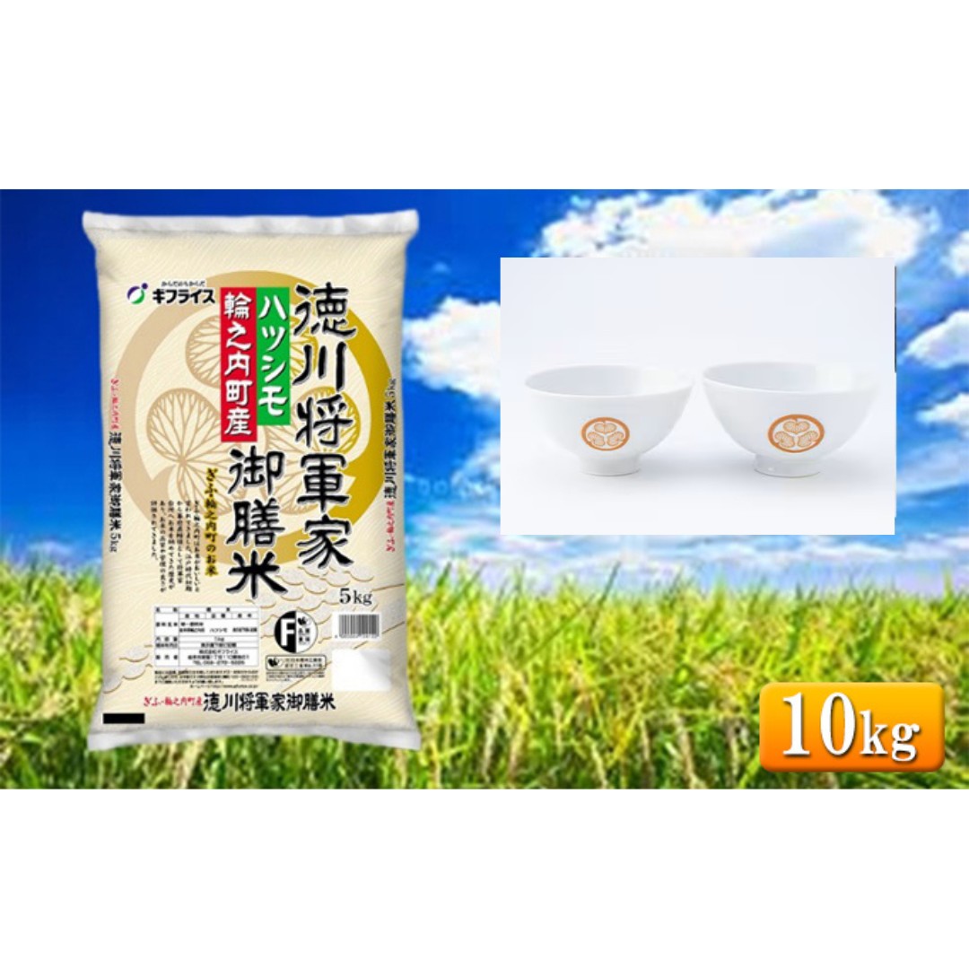7年産 岐阜県産 ハツシモ （徳川将軍家御膳米） 10kg + 夫婦茶碗  米 コメ 精米 白米 大粒 おいしい ごはん おにぎり お弁当 岐阜県 輪之内町