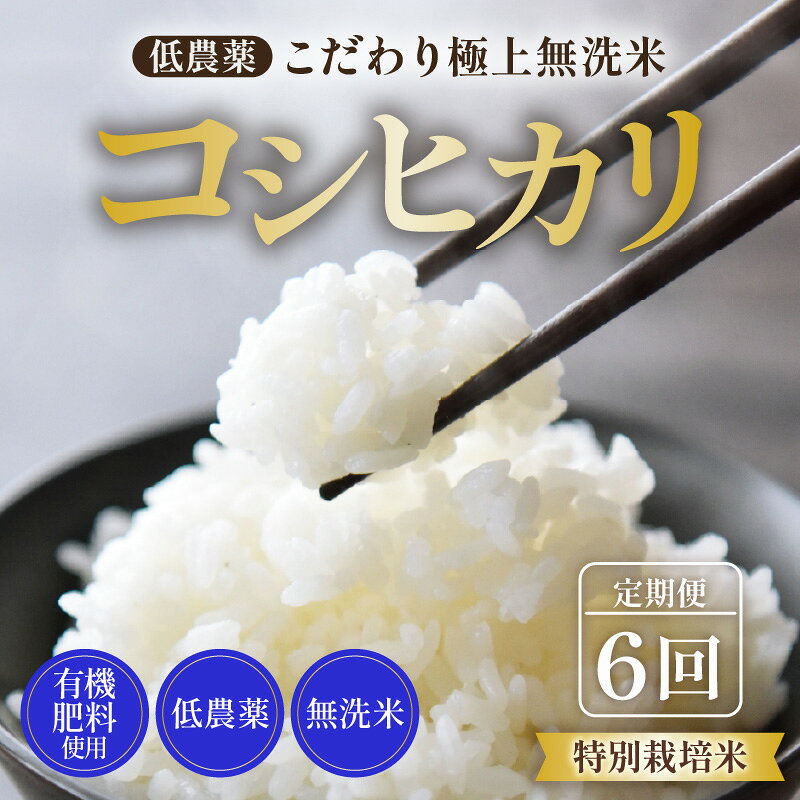 【ふるさと納税】【令和8年産】《定期便6回》5kg×6回 30kg 特別栽培米 コシヒカリ 無洗米 低農薬 《食味値85点以上！こだわり極上米》 / 福井県 あわら 北陸 米 お米 人気 高品質 鮮度抜群 新米