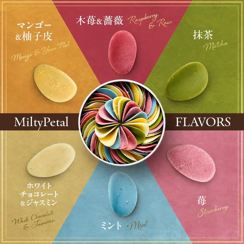 【定期便5回 毎月お届け】【花びらのようなチョコレート ミルティペタル】6つのフレーバーをお楽しみください＜福岡市＞ | 菓子 おかし スイーツ デザート 食品 人気 おすすめ 送料無料