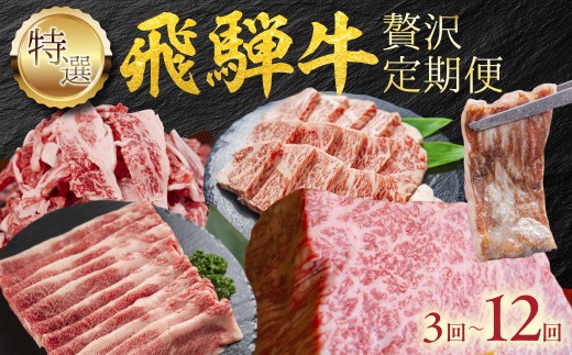 飛騨牛「贅沢」定期便 ≪12回お届け≫ 牛肉 定期便 飛騨牛 ブランド牛 和牛 国産 焼き肉 ステーキ しゃぶしゃぶ すき焼き ハンバーグ 高級 切り落とし 訳あり 牛 赤身 わけあり 国産牛 人気 12カ月 12回 飛騨牛 牛肉 定期便 飛騨牛 牛肉 定期便 飛騨牛 牛肉 定期便 飛騨牛 牛肉 定期便 飛騨牛 牛肉 定期便 飛騨牛 牛肉 定期便 飛騨牛 牛肉 定期便 飛騨牛 岐阜県 郡上市