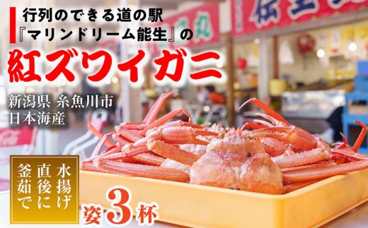 【浜茹で】紅ズワイガニ×3杯 日本海直送 紅ずわいがに 姿 新潟県糸魚川 マリンドリーム能生のカニ屋横丁からお届け！ ベニズワイガニ お届け日指定可能 ボイル 【かに カニ 新鮮 日付指定可能 冷凍 】