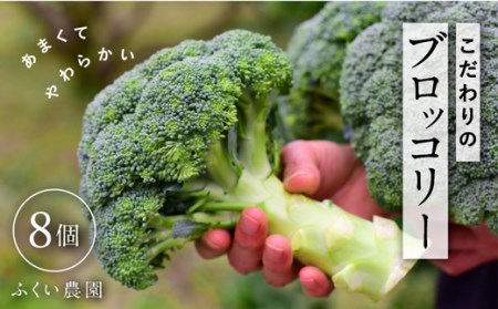 ふくい農園 ブロッコリー8個 野菜 ブロッコリー 人気