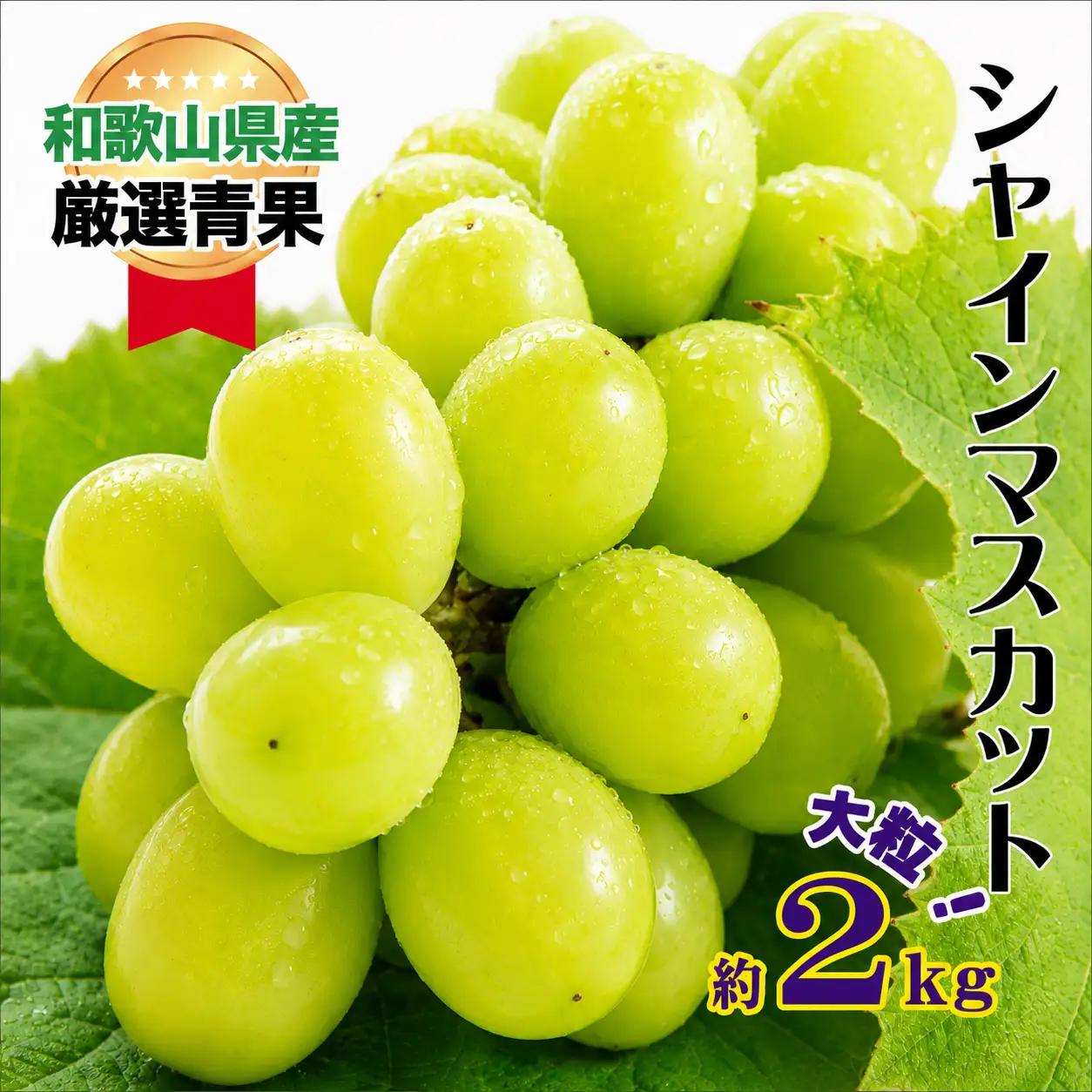 大人気 シャイン マスカット 約2kg (4～5房)【8月上旬～下旬発送】【A216-frks112A】