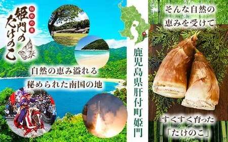 【B32001】〈先行受付〉秘めの里 姫門のたけのこ(約2kg) 鹿児島 国産 たけのこ 筍 タケノコ 野菜 産地直送 煮物 味噌汁 炊き込みご飯【秘めの里 姫門のたけのこ】