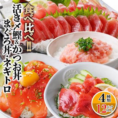 ふるさと納税 枕崎市 枕崎ぶえん鰹800g &amp; 漬け丼3種9袋(かつお・まぐろ・ネギトロ) A6-140