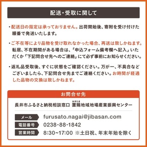 【2025年6月～9月発送分先行受付】【定期便3回】山形旬の果物3選（佐藤錦/メロン/りんご）_H185(R7)