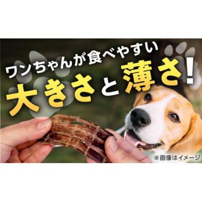 ふるさと納税 人吉市 ペット用　馬刺しジャーキー　50g×2(100g)(人吉市) |  | 02