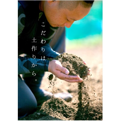 【2025年11月以降順次発送】華みかん3kg【A33−39】【1512259】