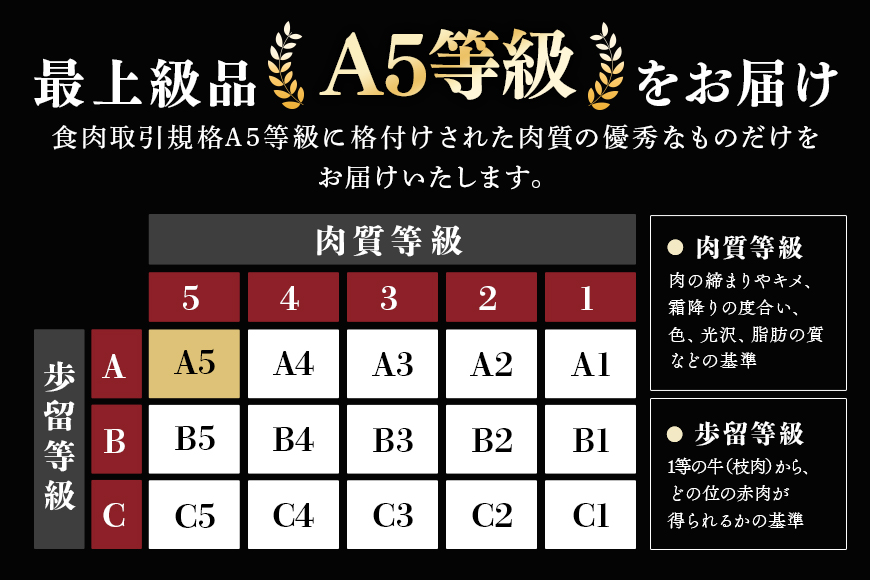 【定期便3回】飛騨牛 カタロース スライス 1kg 3回