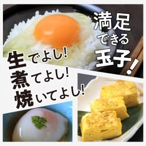 ☆彡9か月定期便☆彡　北杜のたまご（30個入） [h199]