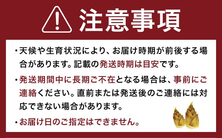 ＼米ぬか付き／先行受付 令和9年産 特選生たけのこ 食べ比べ 2kg×2回《3月中旬-4月中旬頃出荷》熊本県産 南関 タケノコ 筍 竹の子 掘りたて 採れたて 春 野菜 国産 新鮮 炊き込みご飯 土佐