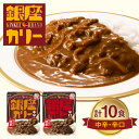 【ふるさと納税】明治 銀座カリー 中辛 ・ 辛口 2種セット（各5個・計10個） レトルト カレー meiji 保存食 非常食 ローリングストック 常温 レトルトカレー レトルト食品 備蓄 温めるだけ 災害備蓄 常温保存 時短 レジャー 送料無料 レンジ 銀座シリーズ 銀座カレー