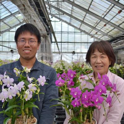 ふるさと納税 糸島市 【30セット限定】デンファレ(洋蘭)2本立ち《糸島》【和饗エコファーム株式会社】[AVI005] |  | 02