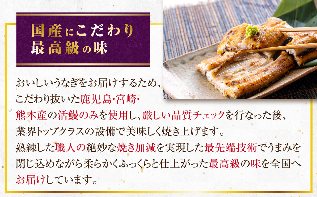 鹿児島県産 うなぎ蒲焼 約170g×3尾