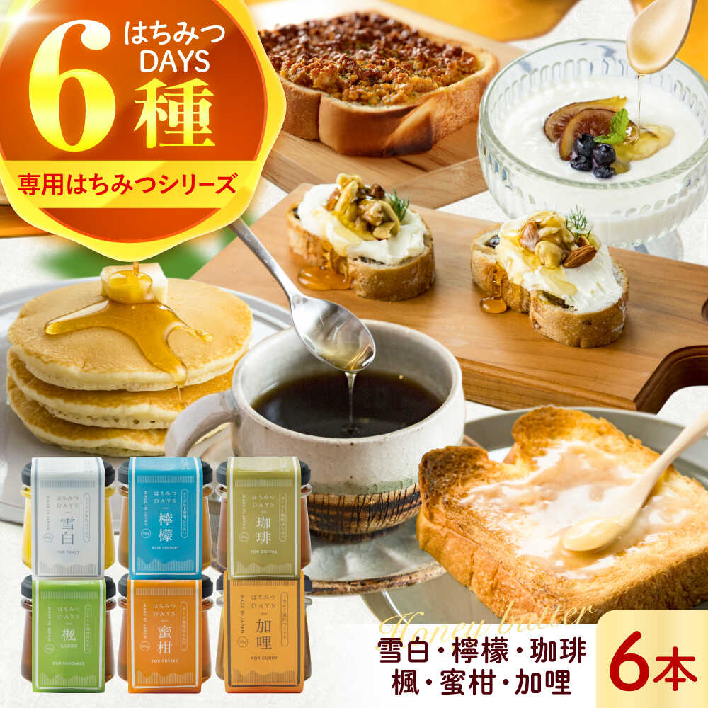 【ふるさと納税】 蜂蜜 はちみつDAYS 6種類セット ハチミツ セット 朝食 蜂蜜 雪白 れもん レモン 檸檬 コーヒー 珈琲 はちみつバター バター パン ぱん トースト ハニー honey 人気 詰め合わせ 食べ比べ ヨーグルト コーヒー トースト ギフト 岐阜市 / 秋田屋本店[ANBT007]
