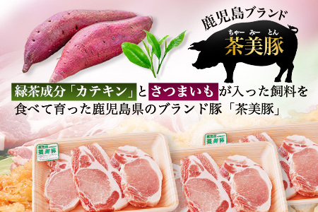 鹿児島県産 茶美豚 ロース セット とんかつ・トンテキ用 (300ｇ×3Ｐ) 計900g｜国産 豚肉 ぶた肉 精肉 茶美豚 ブランド肉 ロース 豚カツ トンテキ 冷凍 鹿児島県 南大隅町 JA-3
