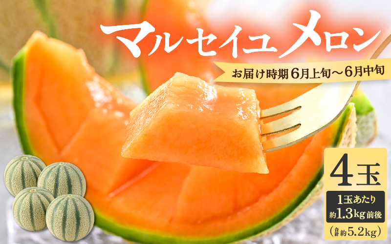 【先行予約】マルセイユメロン 4玉 約5.2kg前後（約1.3㎏前後×4玉）大人気の赤肉品種！高級メロンの味わい ／ 果物 フルーツ ギフト 農家直送 ※2027年6月上旬以降順次発送 [aw065-a019]