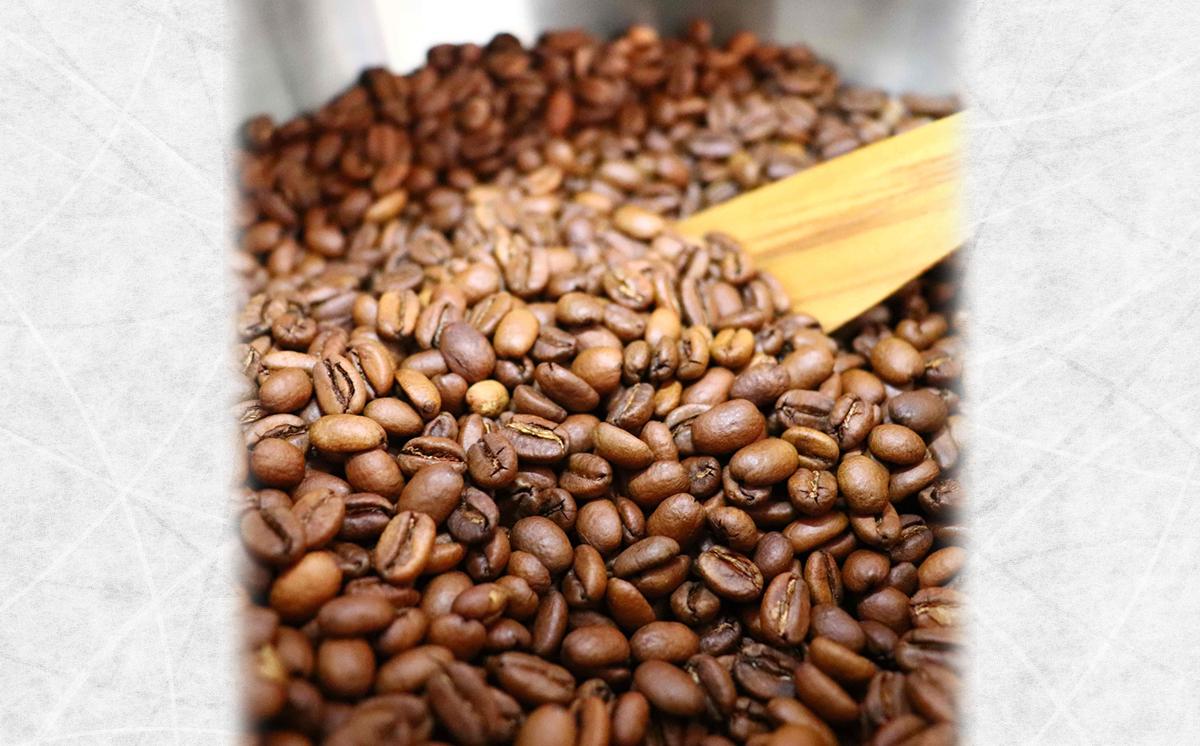 厳選スペシャルティコーヒー　自家焙煎コーヒー豆600g（200g×3） | コーヒー 珈琲 コーヒー豆 スペシャルティコーヒー 自家焙煎新鮮 浅煎り 本格 高級 茨城県 つくば市