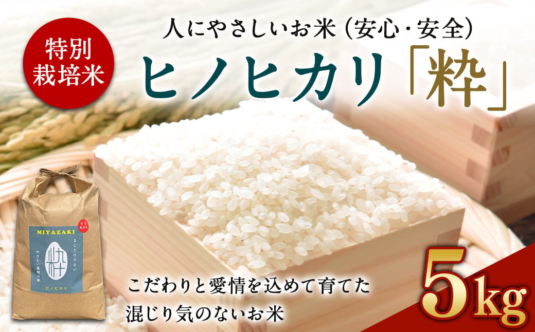 
            ＜令和6年度 特別栽培米「粋」ヒノヒカリ5kg ＞ ※入金確認後、翌月末迄に順次出荷します。 お米 米 白米 精米 宮崎県 高鍋町
          