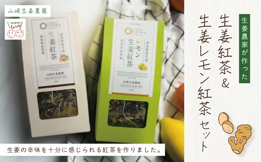 【 山﨑生姜農園 】 生姜農家 が作った 生姜紅茶 ＆ 生姜レモン紅茶 セット ティーパック 茶葉 お茶 紅茶 生姜 しょうが ショウガ ジンジャー レモン れもん おいしい ドリンク 飲料 高知県 高知 四万十市 四万十 しまんと 25-329