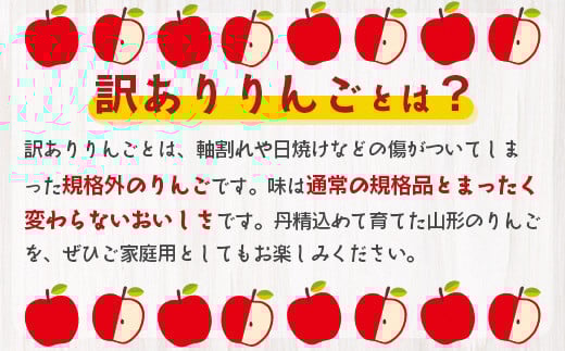 《 ご家庭用 》 サンふじ りんご 5kg 山形県産 (約10玉～20玉) 2024年産 令和6年産 【2024年11月下旬頃より順次発送予定】（フードロス対応・食品ロス・SDGs・生産者支援）　01